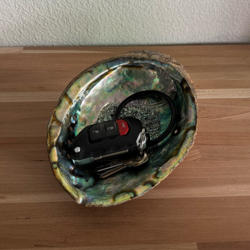Abalone Shell Dish Catchall - Picture 4 of 4